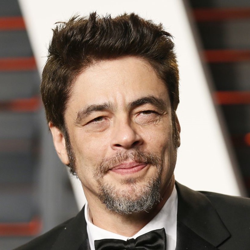  Benicio Del Toro